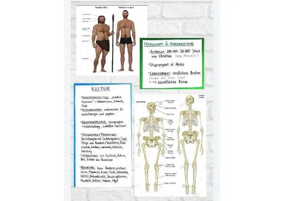 Neandertaler Steckbrief für Kinder: Entdecke ihre Merkmale und Besonderheiten!