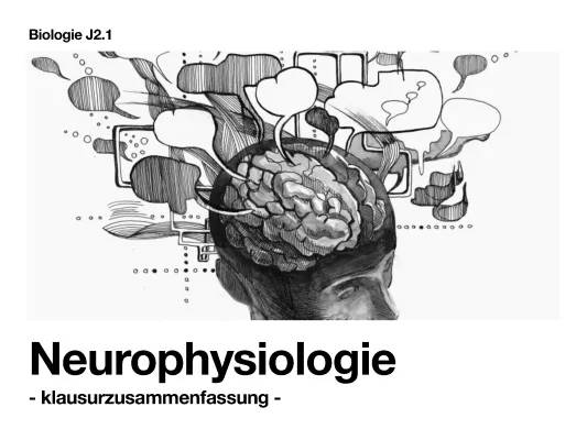 Verstehe die Synapsen: Unterschied zwischen interneuronaler und neuromuskulärer Synapse