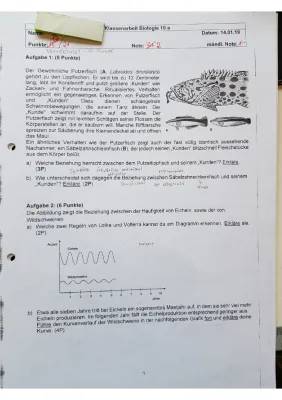 Entdecke die Welt der Mimikry & Fotosynthese: Geheimnisse einfach erklärt!