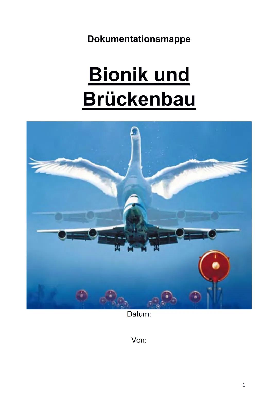 Bionik und
Brückenbau
Von: Dokumentationsmappe
Bionik und
Brückenbau
Datum:
Von:
1 1. Bionik Definition
2. Konstruktionsbionik
2.1 Bionic Ca