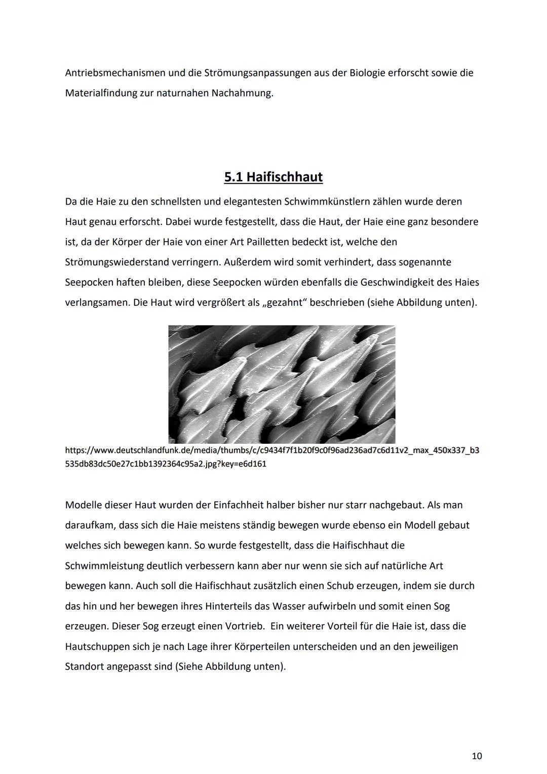 Bionik und
Brückenbau
Von: Dokumentationsmappe
Bionik und
Brückenbau
Datum:
Von:
1 1. Bionik Definition
2. Konstruktionsbionik
2.1 Bionic Ca