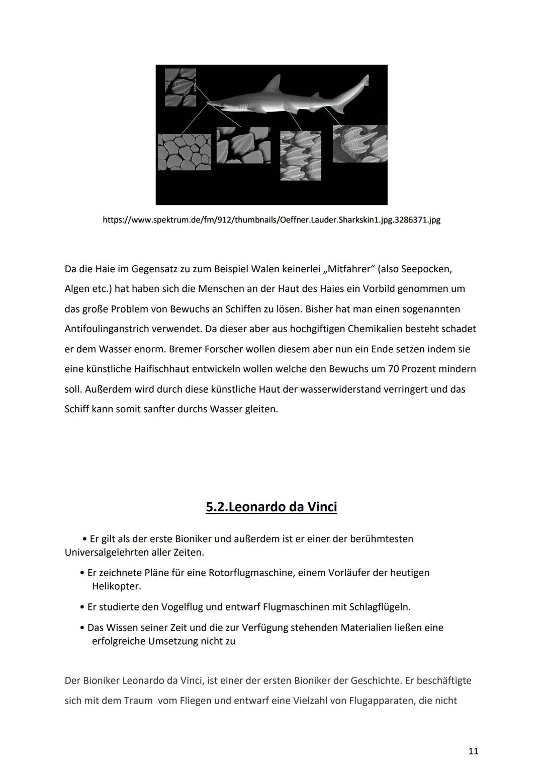 Bionik und
Brückenbau
Von: Dokumentationsmappe
Bionik und
Brückenbau
Datum:
Von:
1 1. Bionik Definition
2. Konstruktionsbionik
2.1 Bionic Ca