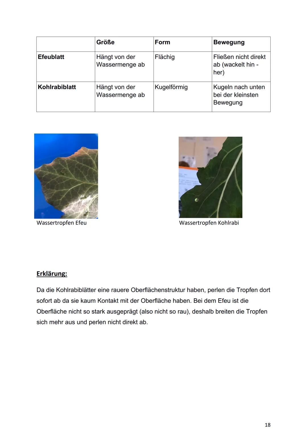 Bionik und
Brückenbau
Von: Dokumentationsmappe
Bionik und
Brückenbau
Datum:
Von:
1 1. Bionik Definition
2. Konstruktionsbionik
2.1 Bionic Ca