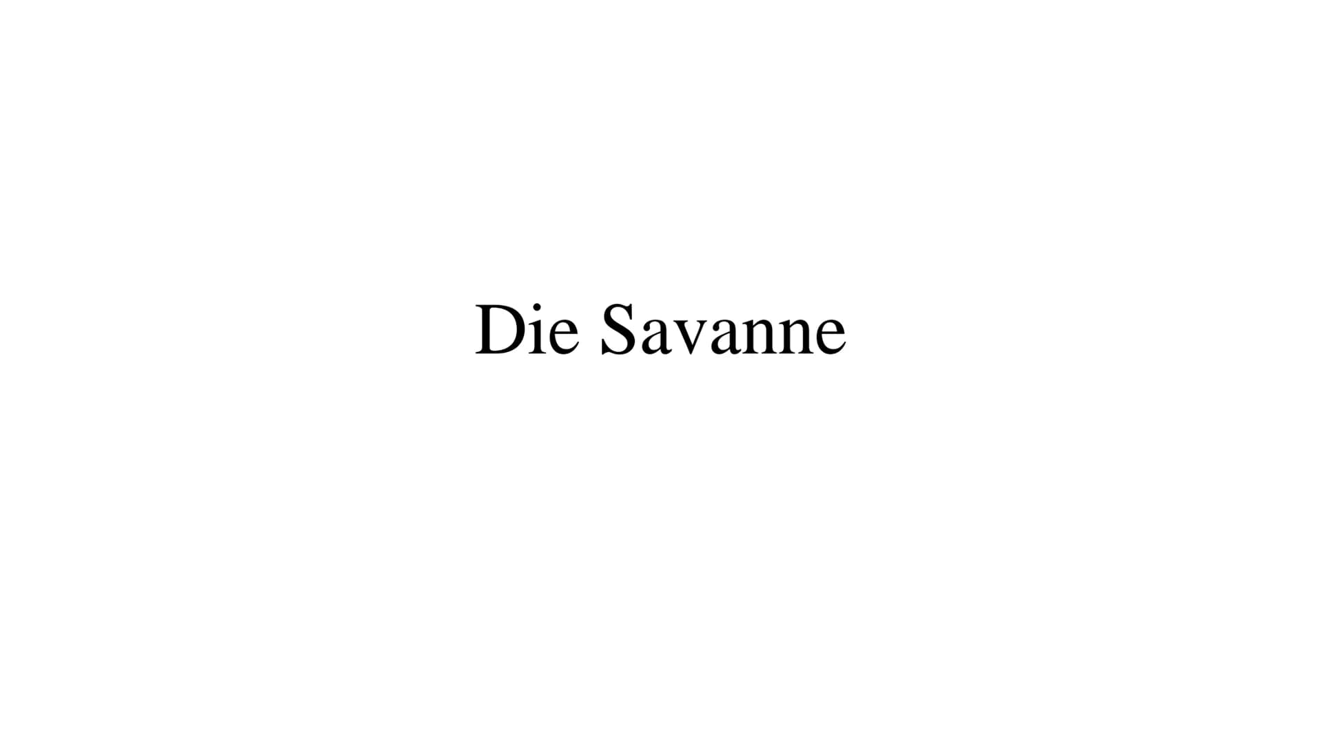 Die Savanne Ich Stelle euch heute die Savanne vor in sechs Stichpunkten:
Gliederung
.Wo liegt die Savanne?
.Savannetypen
.Das Klima
.Die Veg
