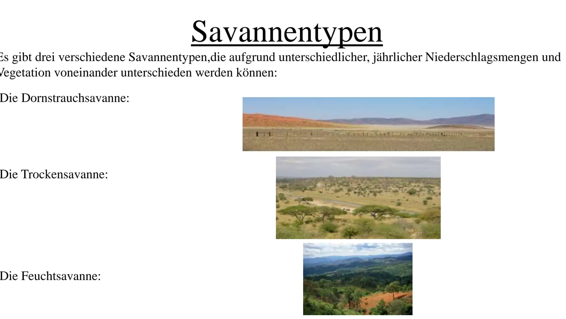 Die Savanne Ich Stelle euch heute die Savanne vor in sechs Stichpunkten:
Gliederung
.Wo liegt die Savanne?
.Savannetypen
.Das Klima
.Die Veg