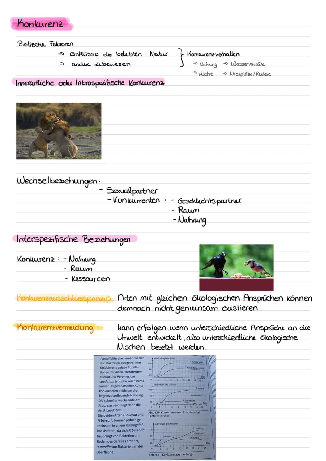 Rauber-Beute - Beziehungen = Räuber ernähren sich von ihrer Beute. Werden beide im
Laborversuch zusammengeführt, so sterben sowohl Räuber
al