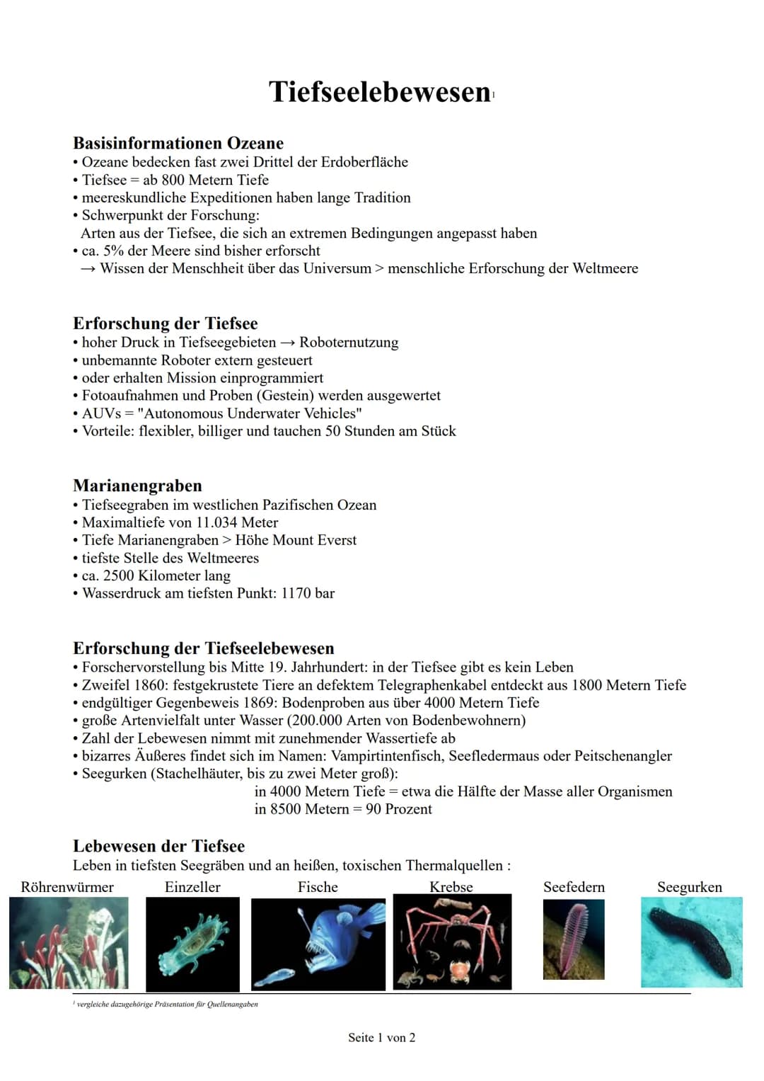
<h2 id="basisinformationenozeane">Basisinformationen Ozeane</h2>
<p>Die Ozeane bedecken fast zwei Drittel der Erdoberfläche, und die Tiefse
