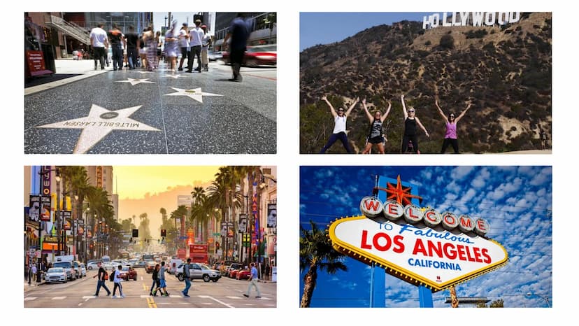 What comes to your mind if you think
about Los Angeles? ■
Different crimes and the distribution of them in L.A.
the crime rate in L.A. is hi