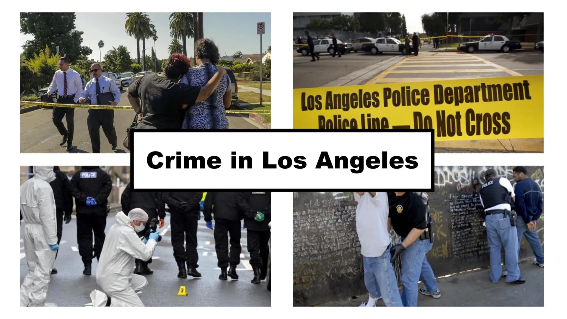 What comes to your mind if you think
about Los Angeles? ■
Different crimes and the distribution of them in L.A.
the crime rate in L.A. is hi
