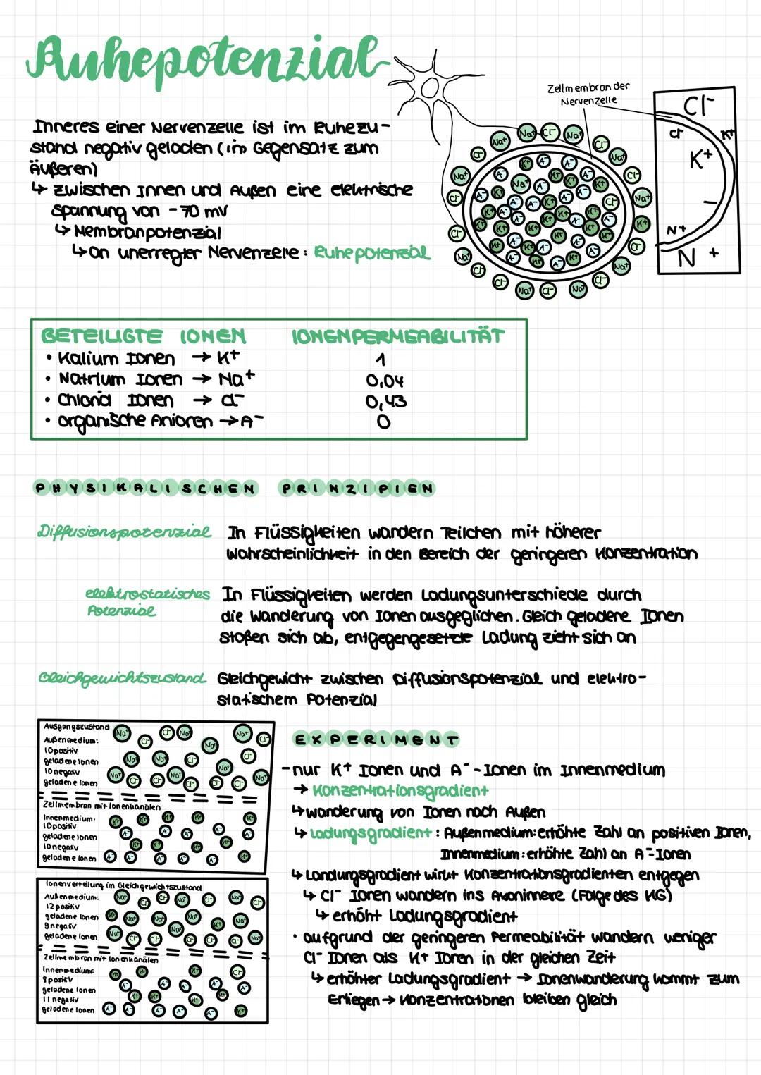 
<p>Die Neurobiologie beschäftigt sich mit der Struktur und Funktion des Nervensystems. Sie ist ein interdisziplinäres Forschungsgebiet, das