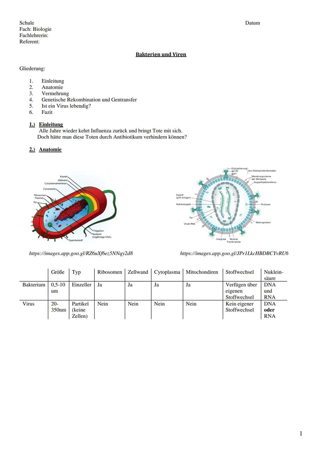 Schule
Fach: Biologie
Fachlehrerin:
Referent:
Gliederung:
1. Einleitung
2. Anatomie
3. Vermehrung
4.
5.
6.
Genetische Rekombination und Gent
