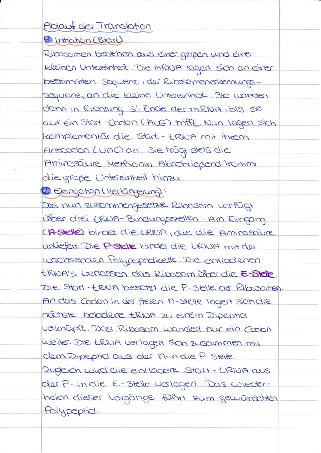 <h2 id="proteinbiosyntheseablauf">Proteinbiosynthese Ablauf</h2>
<h3 id="initiationtranslation">Initiation Translation</h3>
<p>Der Ablauf de