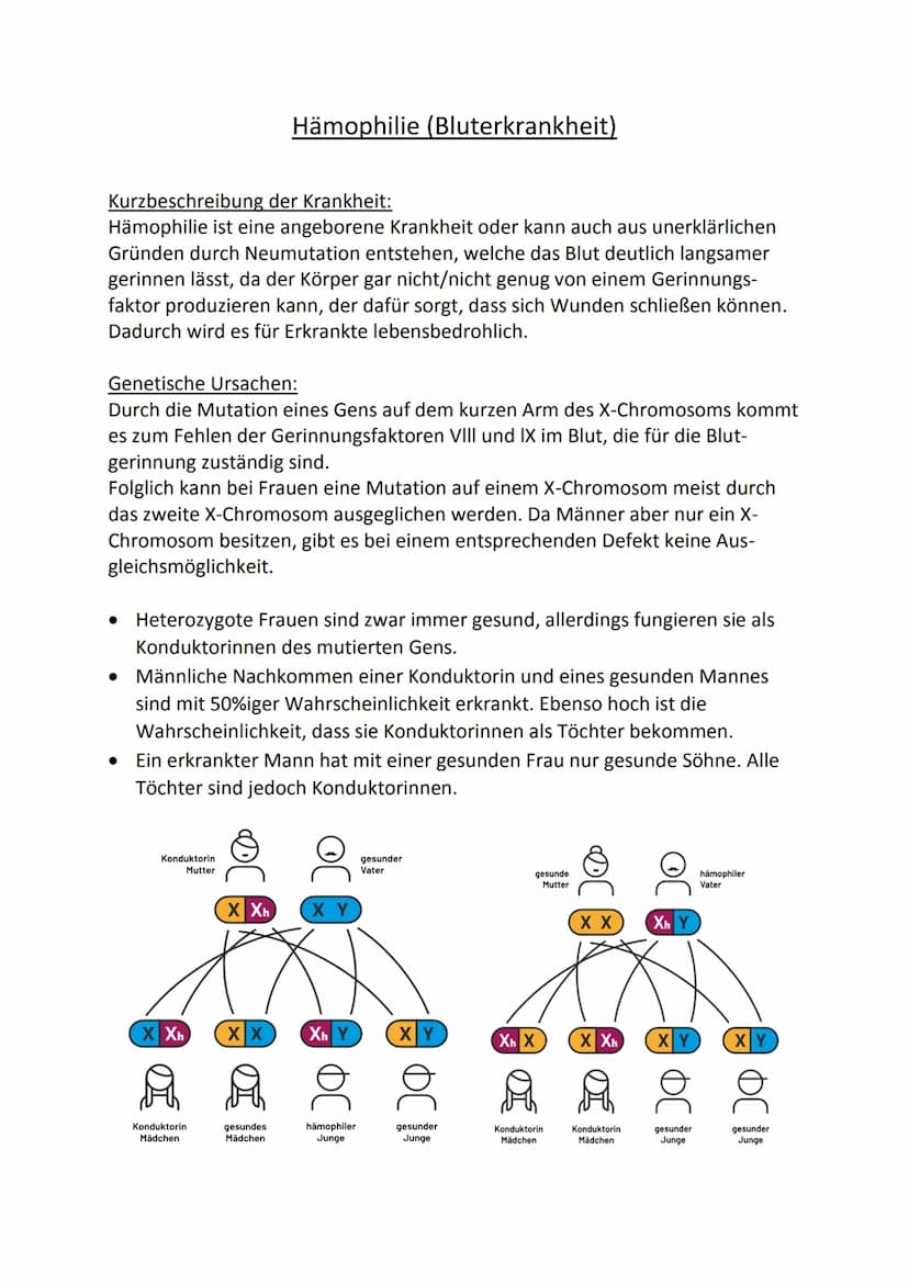 Bluterkrankheit
-Hämophilie- Kurzbeschreibung der Krankheit:
Hämophilie ist eine angeborene Krankheit oder kann auch aus unerklärlichen
Grün