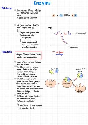 Know Enzyme thumbnail