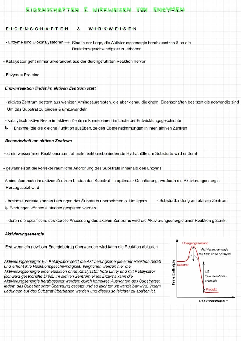 KT:ONEN
funktionen
Was sind Enzyme ?
- Proteine mit Katalysatorfunktion
- Katalysatoren beschleunigen chemische Reaktionen, ohne sich dabei 