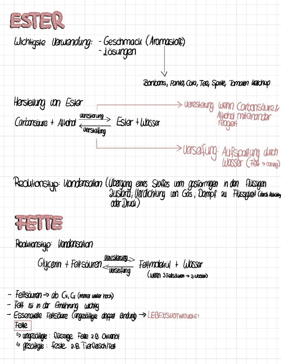 Ester Herstellung, Fette Overview und Photosynthese einfach erklärt für 10. Klasse