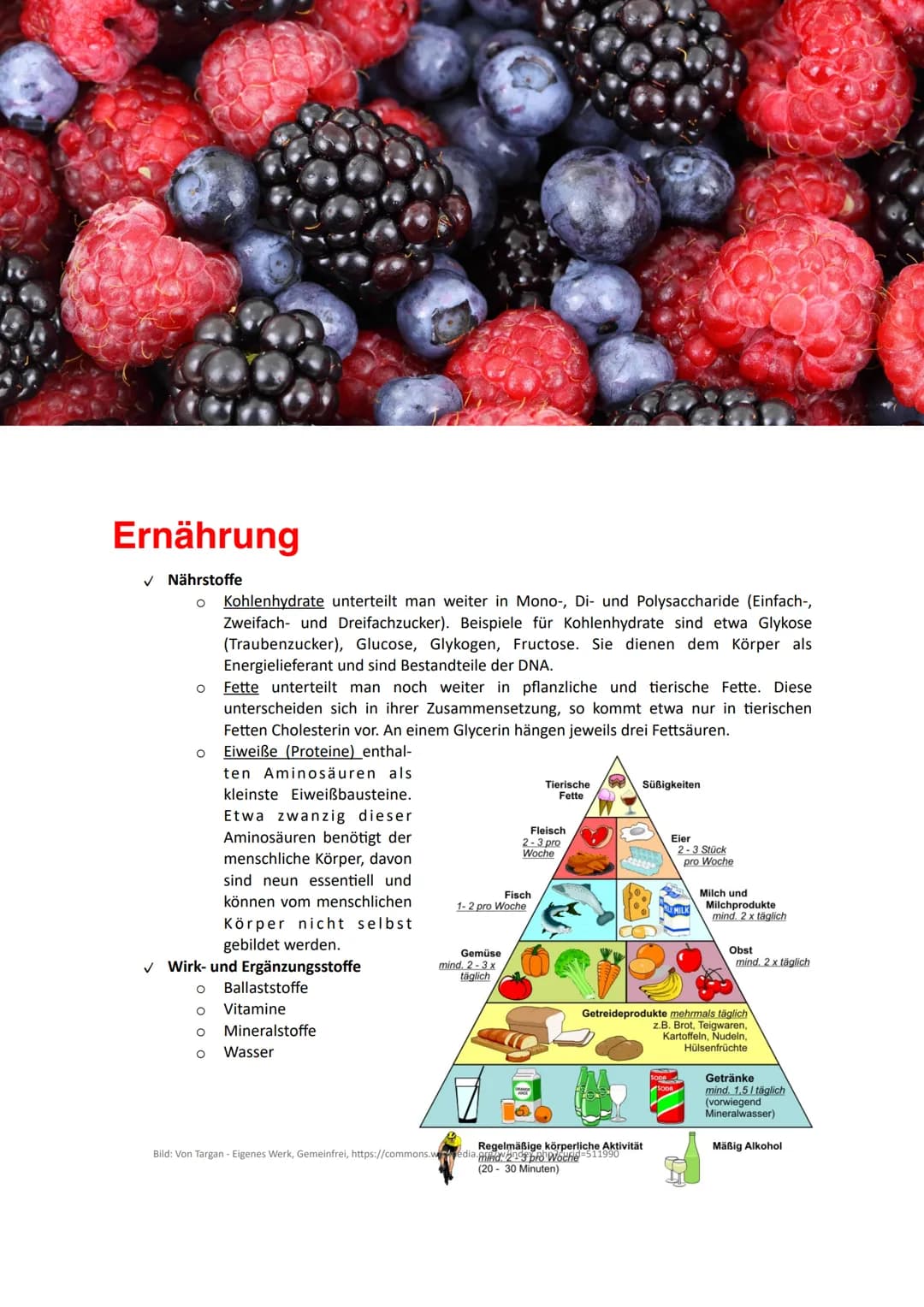 Ernährung Ernährung
✓ Nährstoffe
O Kohlenhydrate unterteilt man weiter in Mono-, Di- und Polysaccharide (Einfach-,
Zweifach- und Dreifachzuc