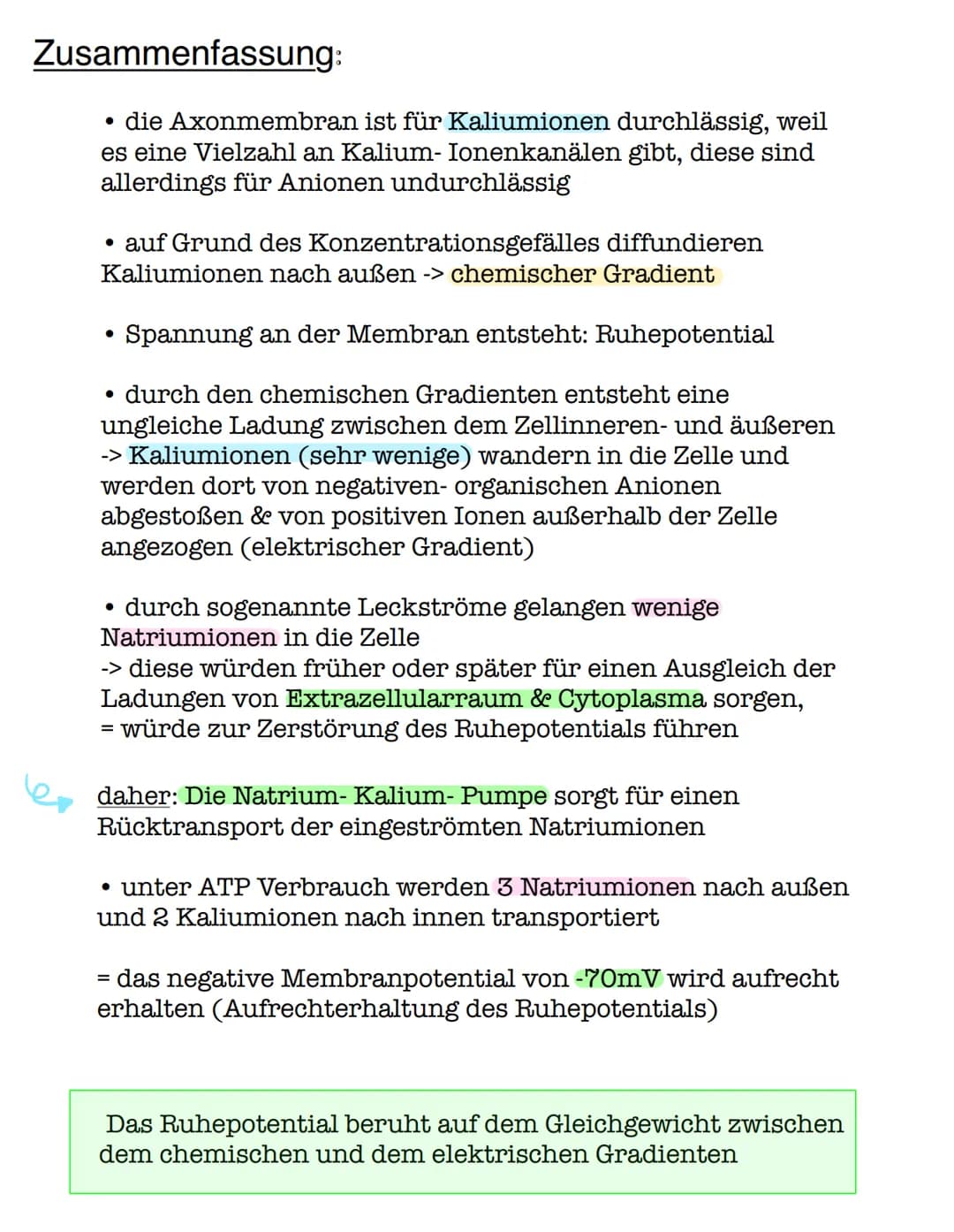 Das Ruhepotential
Ruhepotential-Membranpotential, dass man im Ruhezustand
einer Nervenzelle messen kann, wenn die Zelle also nicht erregt
is