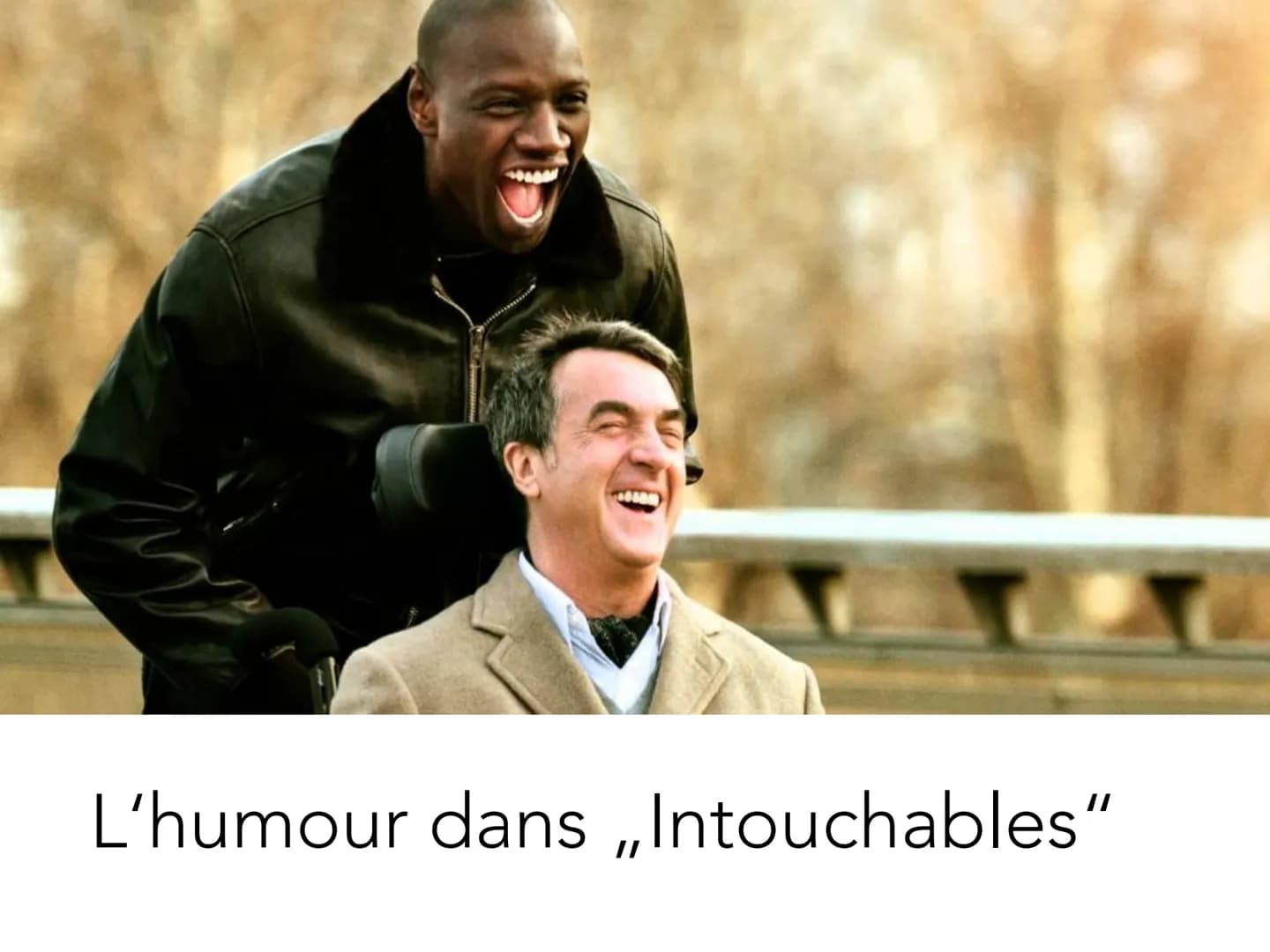 L'humour dans ,,Intouchables" La structure
Ô
la définition de l'humour
les sortes différentes de l'humour
• les différances entre les milieu
