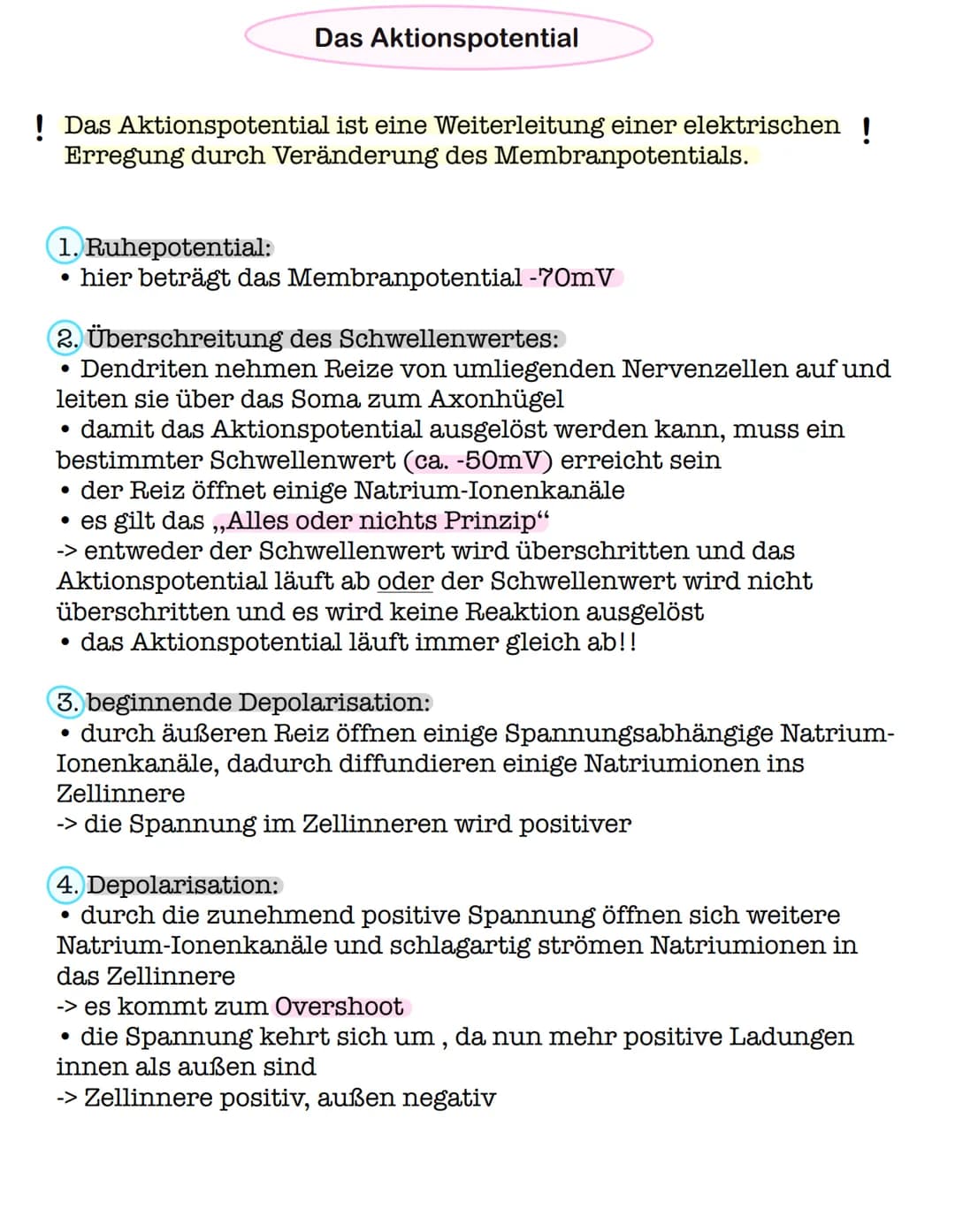 Das Aktionspotential
! Das Aktionspotential ist eine Weiterleitung einer elektrischen !
Erregung durch Veränderung des Membranpotentials.
1.