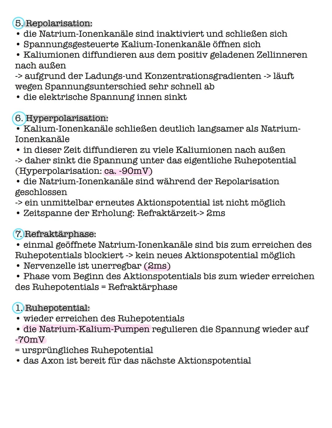 Das Aktionspotential
! Das Aktionspotential ist eine Weiterleitung einer elektrischen !
Erregung durch Veränderung des Membranpotentials.
1.