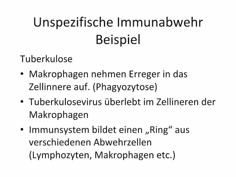 Unspezifische Immunabwehr &
Erst- und Zweitinfektion Gliederung
Unspezifische Immunabwehr
Definition
-
- Allgemeine Abwehr
- Selektive Abweh