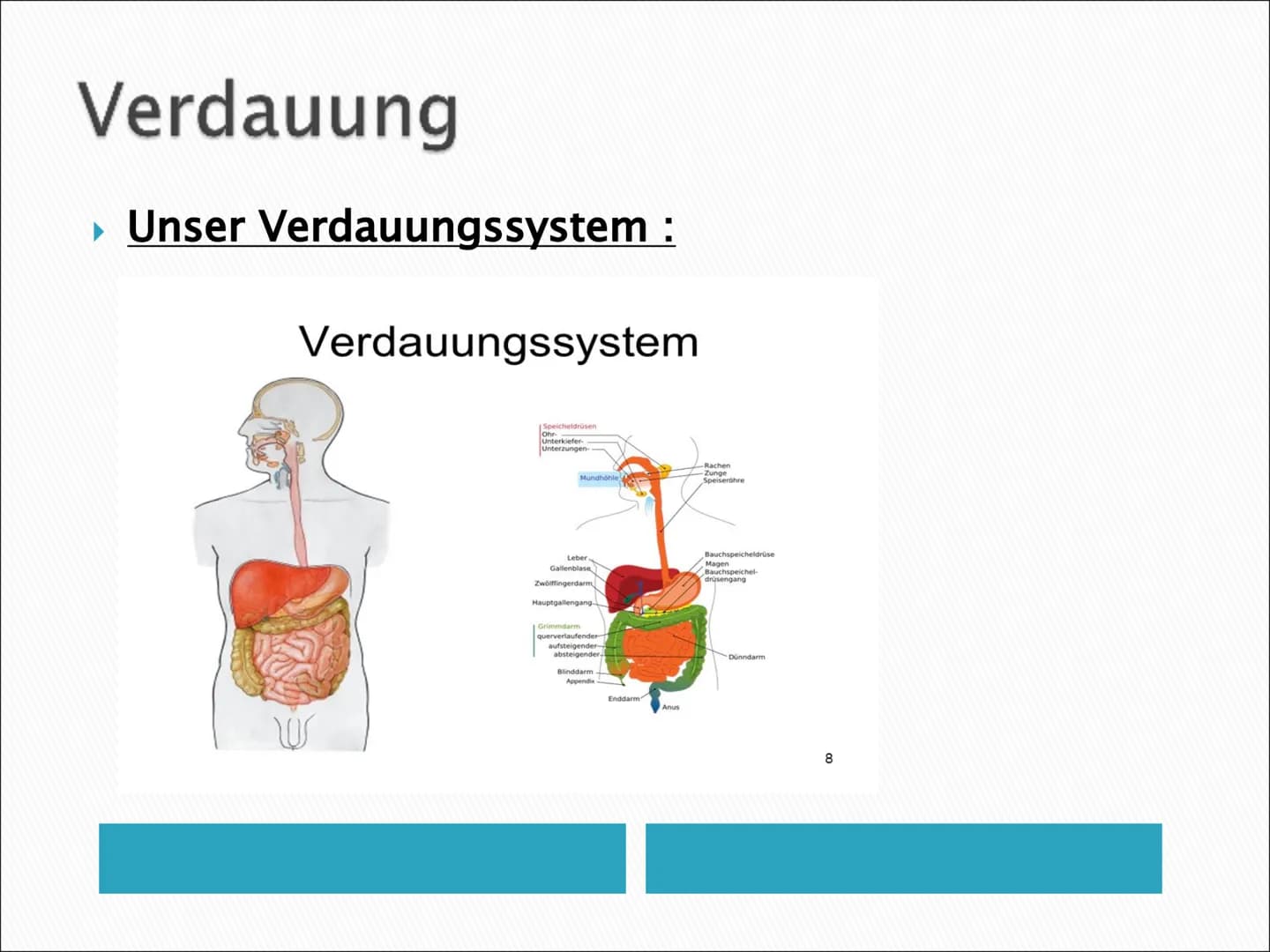 
<p>Ernährung und Verdauung sind wichtige Themen, die einen starken Einfluss auf unsere Gesundheit haben. Durch eine ausgewogene Ernährung u