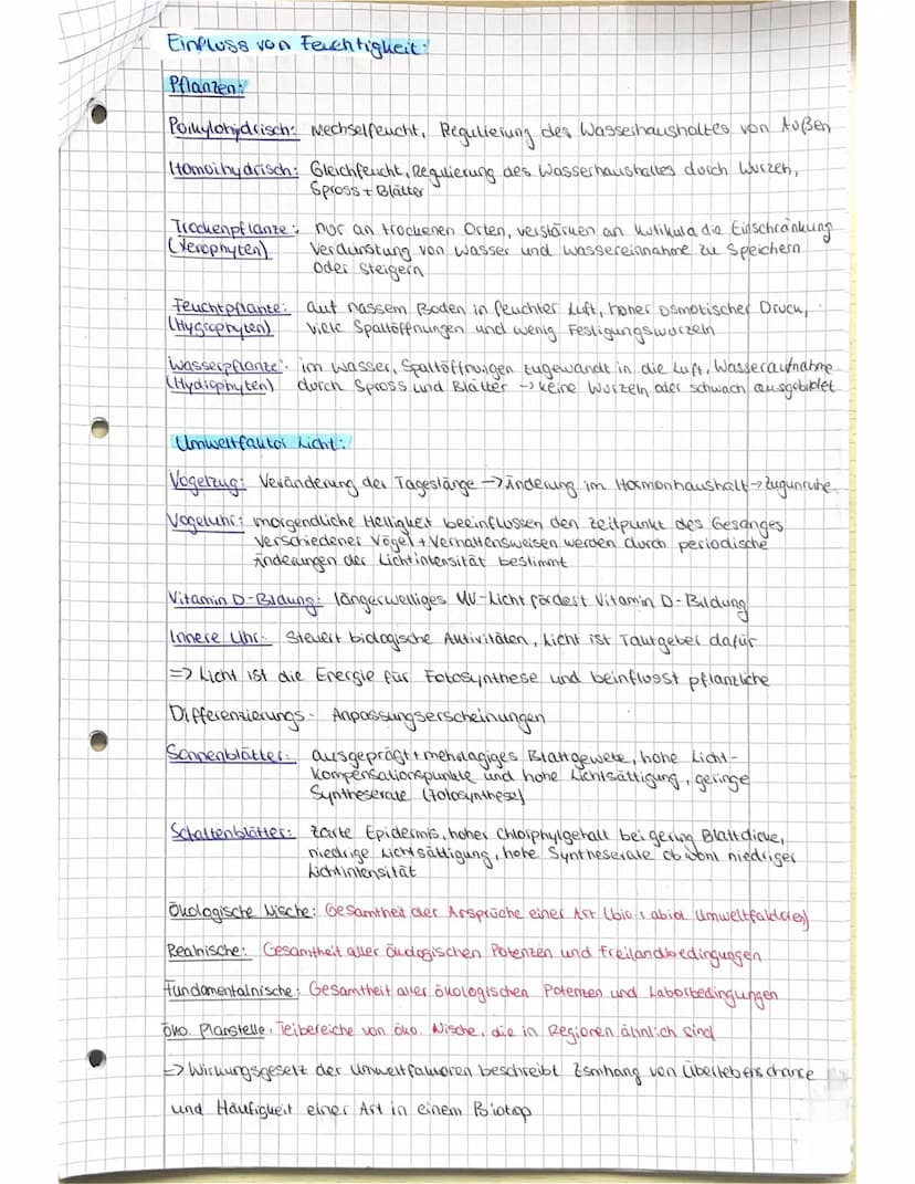 Abiturvost
itung Biologie LK -Oholog.e
Definition:
Das Ollosystem ist ein vielfältiges Beziehungsgeflüge aus Biotop and
der darin befindlich
