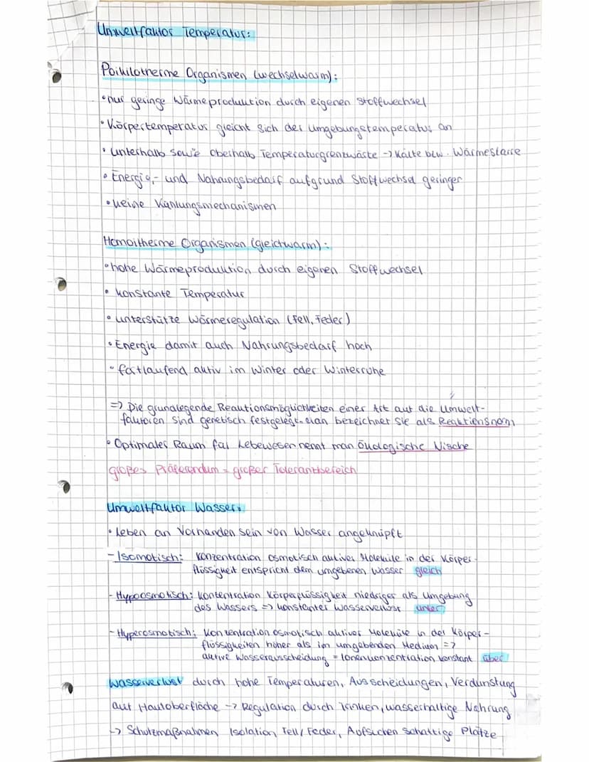 Abiturvost
itung Biologie LK -Oholog.e
Definition:
Das Ollosystem ist ein vielfältiges Beziehungsgeflüge aus Biotop and
der darin befindlich
