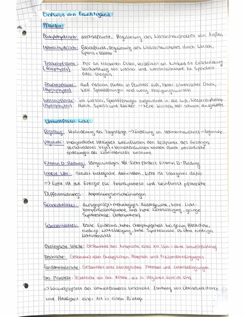 Abiturvost
itung Biologie LK -Oholog.e
Definition:
Das Ollosystem ist ein vielfältiges Beziehungsgeflüge aus Biotop and
der darin befindlich
