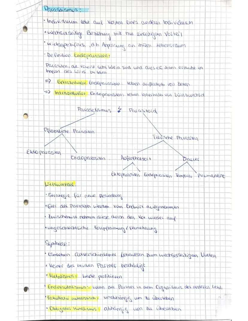 Abiturvost
itung Biologie LK -Oholog.e
Definition:
Das Ollosystem ist ein vielfältiges Beziehungsgeflüge aus Biotop and
der darin befindlich