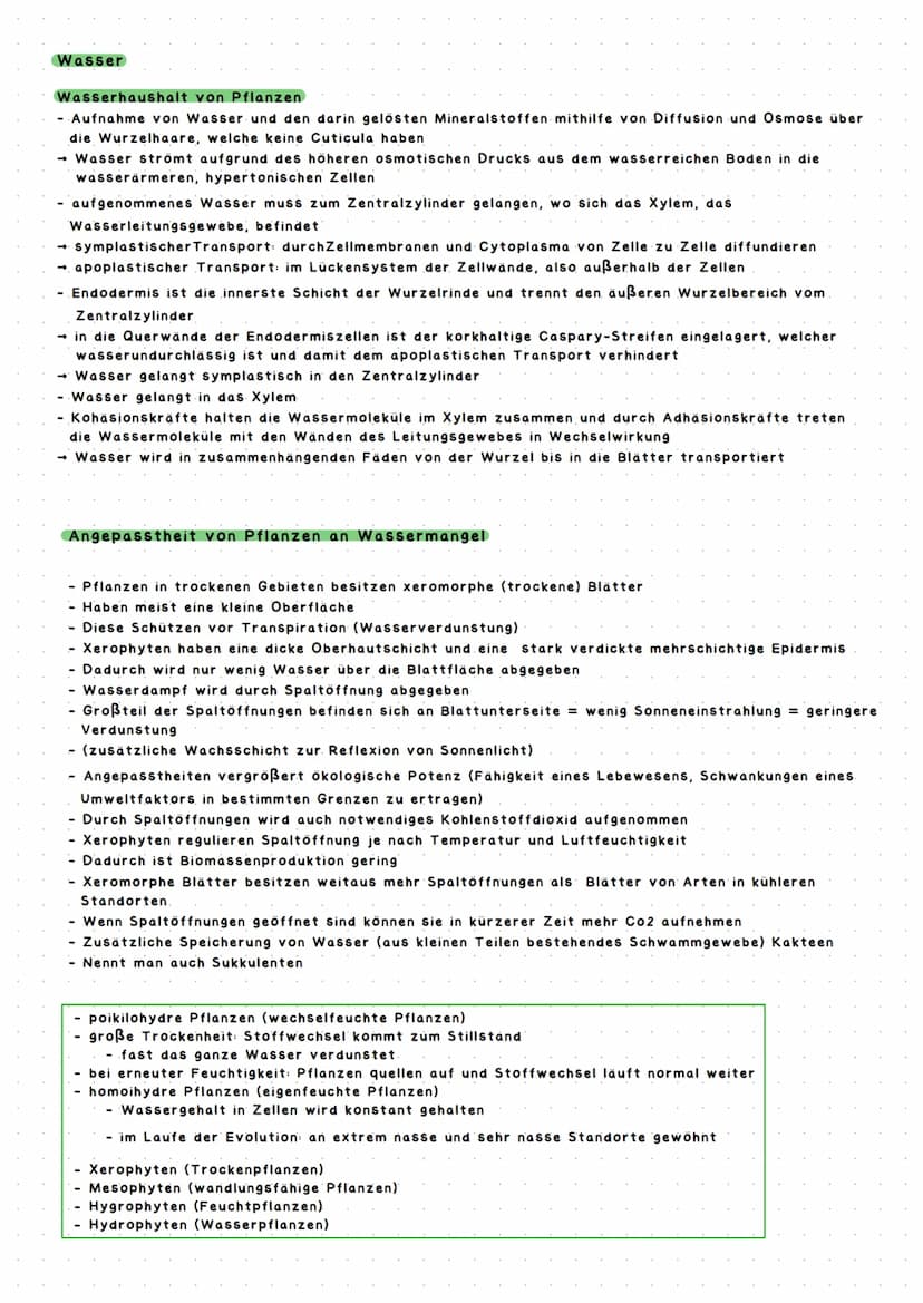 ÖKOLOGIE
→ Die Ökologie ist ein Teilbereich der Biologie und beschäftigt sich mit den Wechselwirkungen zwischen
belebter und unbelebter Umwe