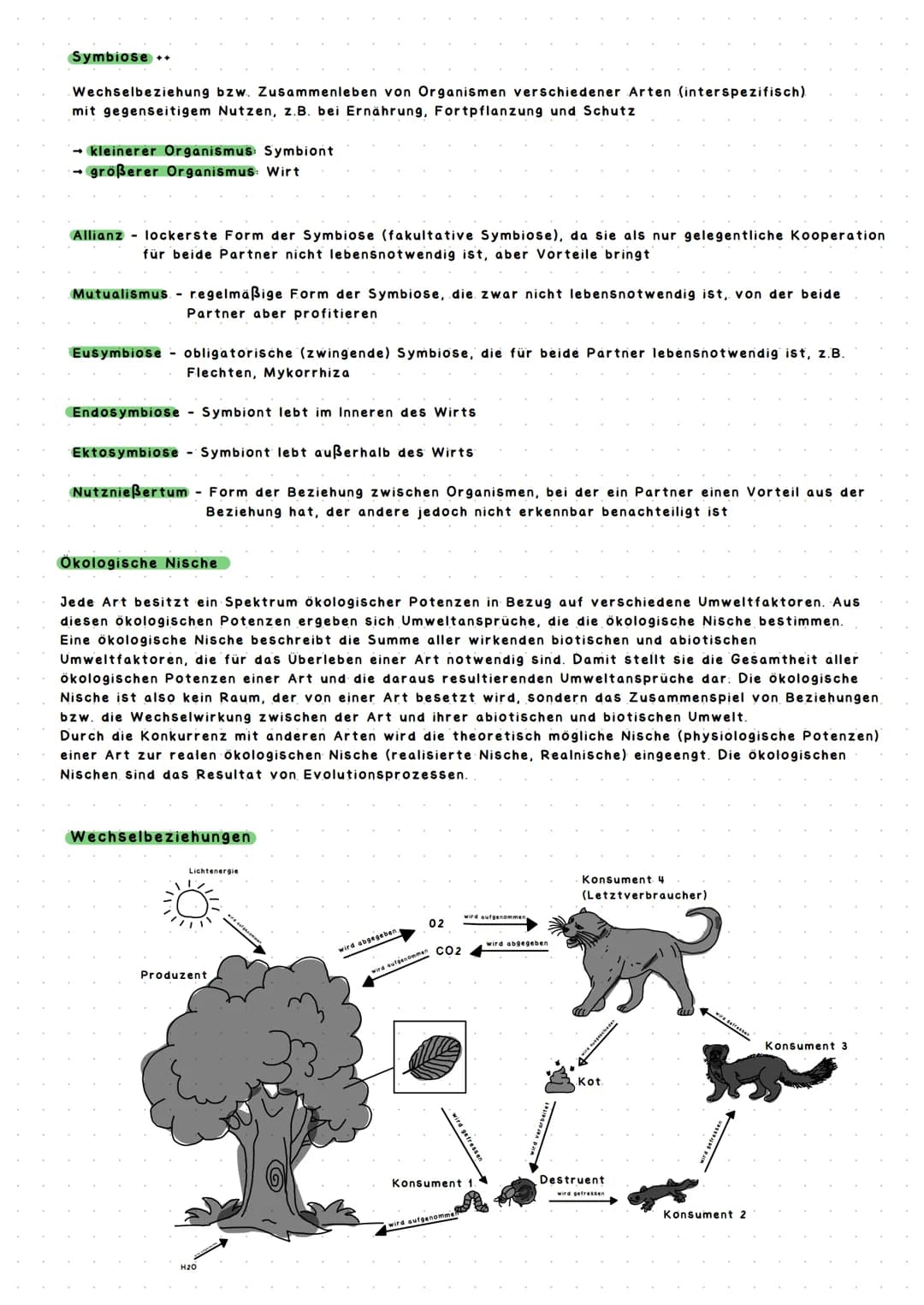 ÖKOLOGIE
→ Die Ökologie ist ein Teilbereich der Biologie und beschäftigt sich mit den Wechselwirkungen zwischen
belebter und unbelebter Umwe