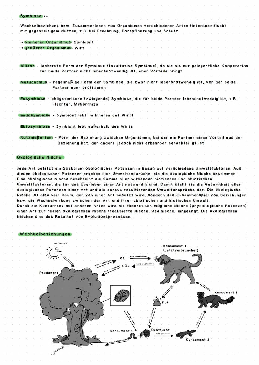 ÖKOLOGIE
→ Die Ökologie ist ein Teilbereich der Biologie und beschäftigt sich mit den Wechselwirkungen zwischen
belebter und unbelebter Umwe