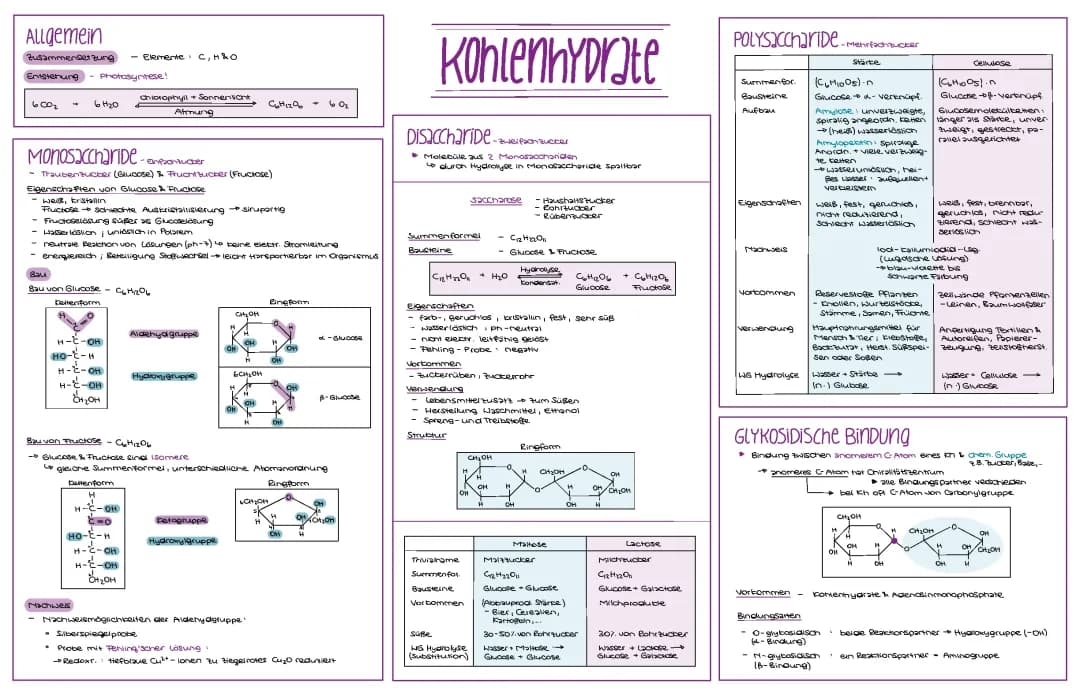 Monosaccharide und Polysaccharide: Beispiele, Lebensmittel und Glykosidische Bindung einfach erklärt