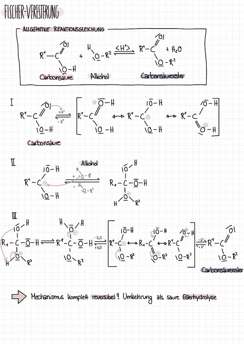 Q1.3 ALKANSÄUREN UND IHRE DERIVATE
CARBONSAURE
→ die funktionelle Gruppe der Cartoonsäuren/Alkansäuren ist clie Carboxy-Gruppe
→ Carboxy-Gru