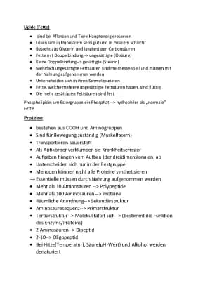 Know Lipide, Proteine, Kohlenhydrate (Saccharide) thumbnail