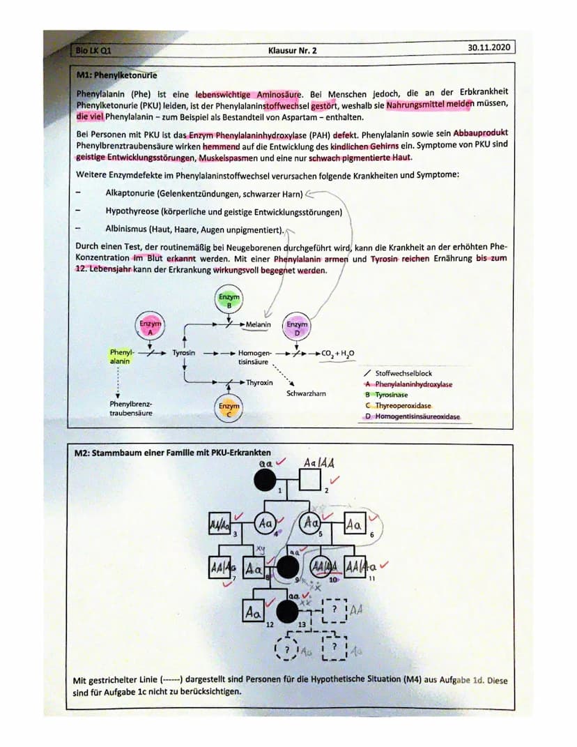 Bio LK Q1
NAME:
Aufgabe 2- Epigenetische Krebstherapie
ar
Aufgabe 1-Erbkrankheit Phenylketonurie
a) Beschreiben Sie anhand von Material M1 d