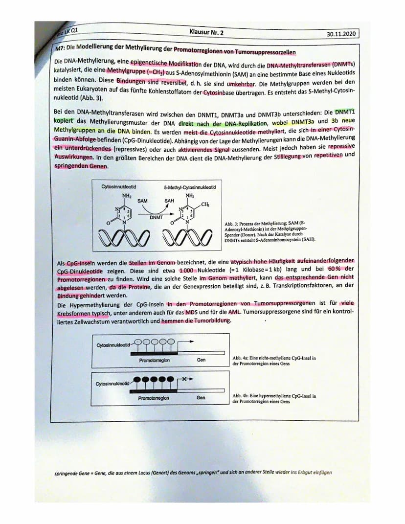 Bio LK Q1
NAME:
Aufgabe 2- Epigenetische Krebstherapie
ar
Aufgabe 1-Erbkrankheit Phenylketonurie
a) Beschreiben Sie anhand von Material M1 d