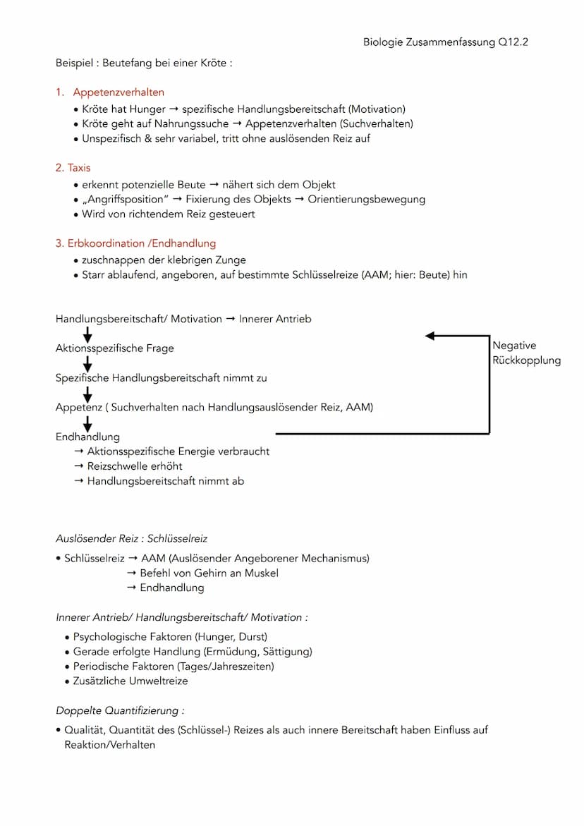Verhaltensbiologie
Untersuchung von Verhalten
• Alle beobachtbaren Bewegungen, Körperstellungen und Lautäußerungen eines Menschen/
Tieres, d