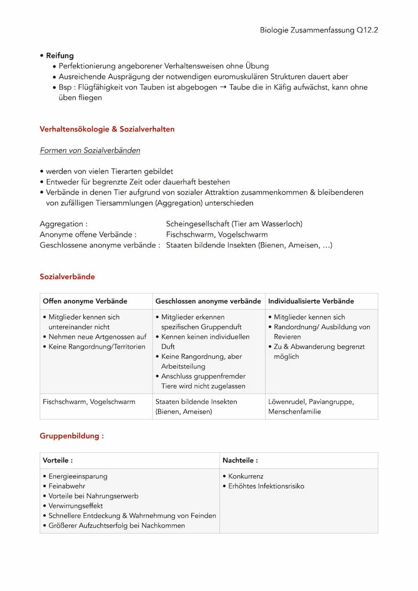 Verhaltensbiologie
Untersuchung von Verhalten
• Alle beobachtbaren Bewegungen, Körperstellungen und Lautäußerungen eines Menschen/
Tieres, d