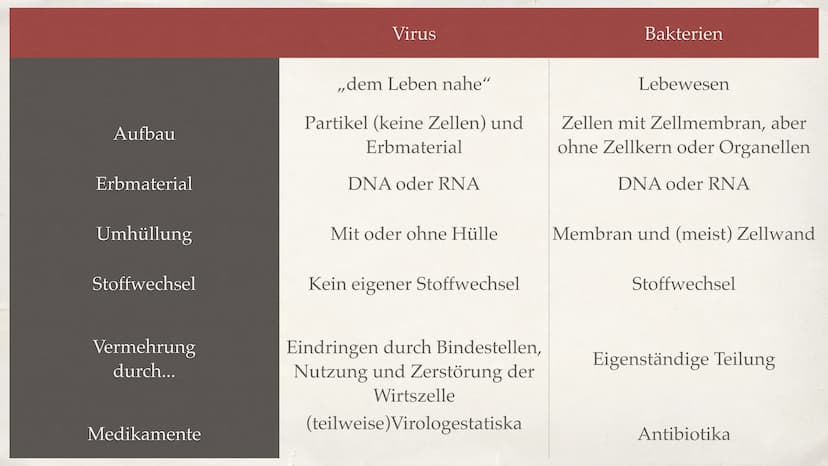 Viren
A Inhaltsverzeichnis
Was ist ein Virus?
* Struktur
+ Wie wirkt Virus im Körper?
Unterschied zwischen Viren und Bakterien
→ Spanische G