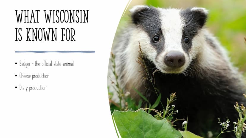 WISCONSIN INHALT:
●
●
Wisconsin
Geography
Attractions
What Wisconsin is known for
Famous sports teams
Pictures WISCONSIN
●
Is a state in the