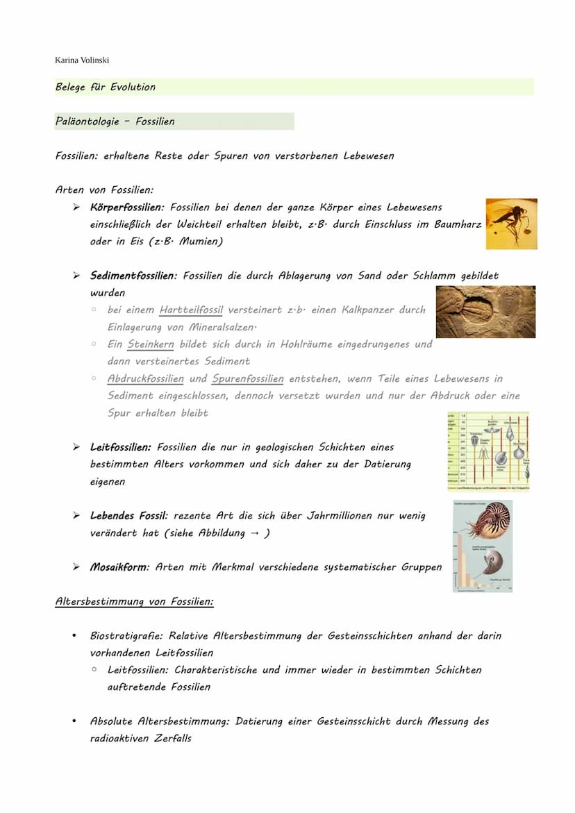 Karina Volinski
Evolution
.
Evolutionstheorien
1. Kreationismus
2. Linné
3. Katastrophentheorie
4. Lamarck
●
●
5. Darwin
6. Synthetische Evo