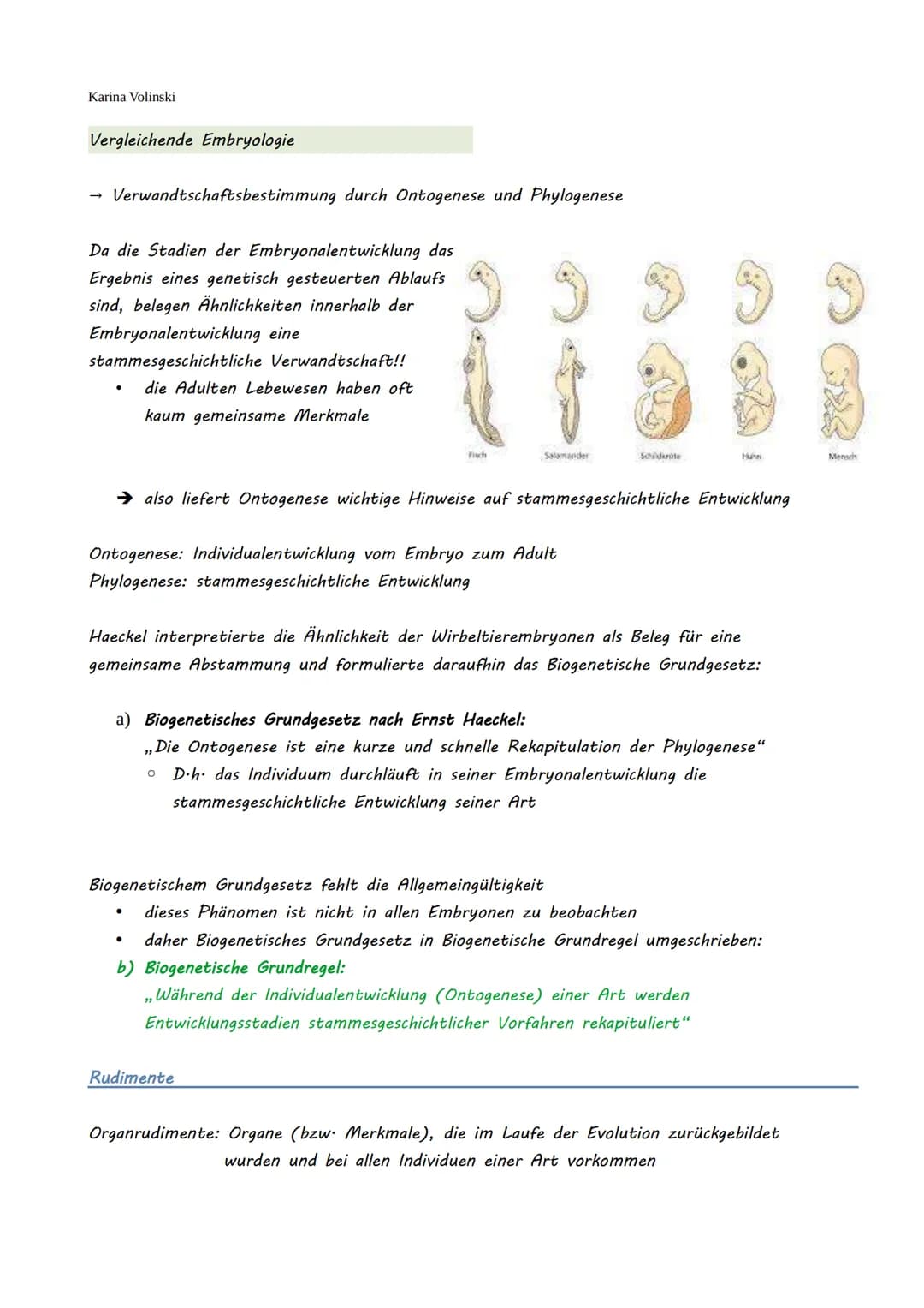 Karina Volinski
Evolution
.
Evolutionstheorien
1. Kreationismus
2. Linné
3. Katastrophentheorie
4. Lamarck
●
●
5. Darwin
6. Synthetische Evo