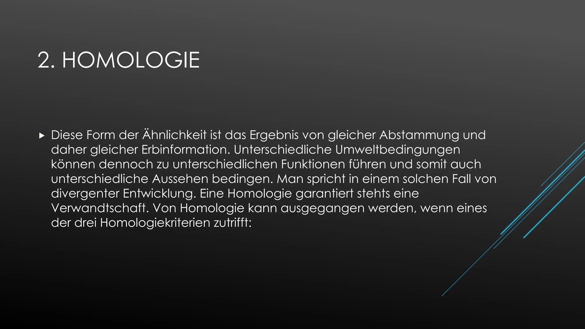 Belege für die Evolution
Belege aus der Morphologie und Anatomie:
1. Analogie
Unter Analogie versteht man die Ähnlichkeit, die aus gleicher 