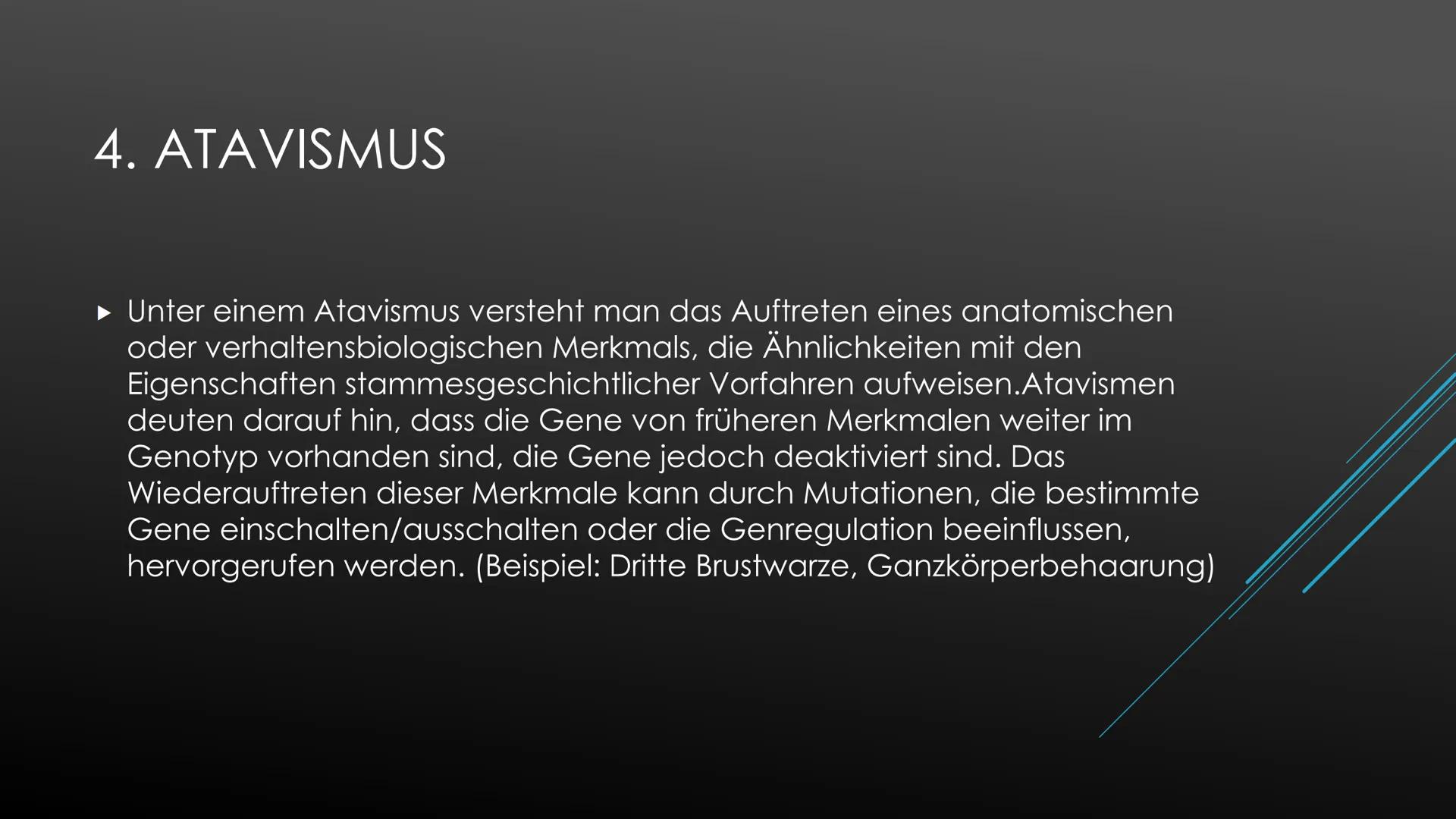 Belege für die Evolution
Belege aus der Morphologie und Anatomie:
1. Analogie
Unter Analogie versteht man die Ähnlichkeit, die aus gleicher 
