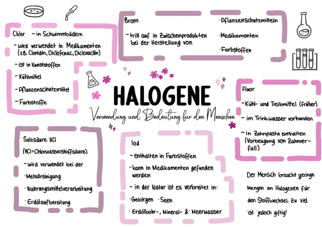 Halogene - die 7. Hauptgrupppe im Periodensystem 