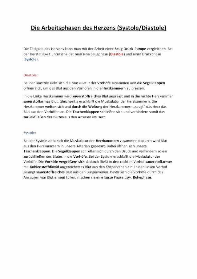 Know Die Arbeitsphasen des Herzens (Diastole/Systole) thumbnail