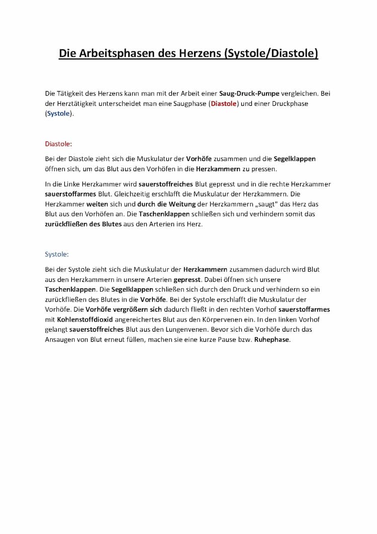 Know Die Arbeitsphasen des Herzens (Diastole/Systole) thumbnail